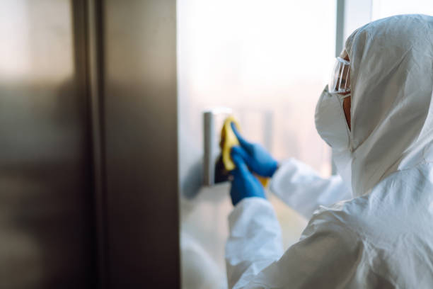 Professional Mold Removal in Beverly, NJ